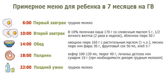 Κατά προσέγγιση μενού του μωρού 7 μήνες στο θηλασμό