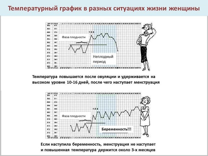 Базальная температура при беременности