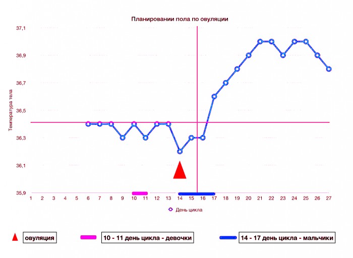 планирование пола по овуляции