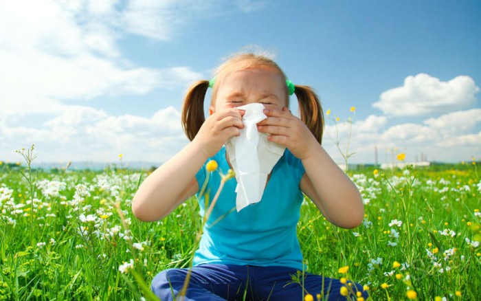 В большинстве случаев причиной астмы у детей является аллергия.