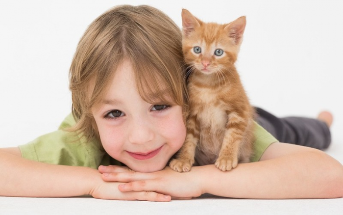 Ребенок может подхватить токсоплазмоз от домашнего животного или в песочнице.
