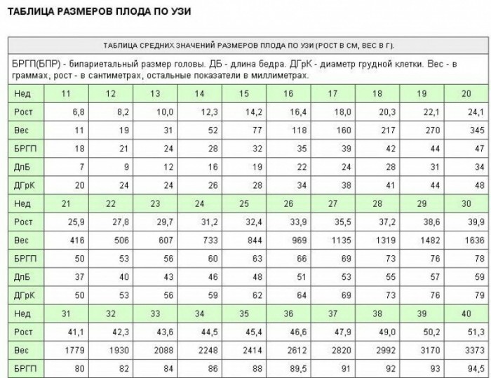 Таблица размеров плода на узи