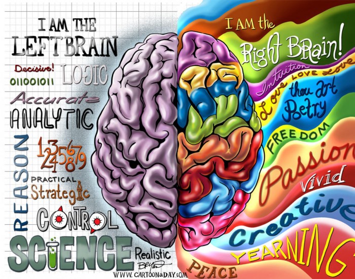 Десно и лево хемисфера мозга