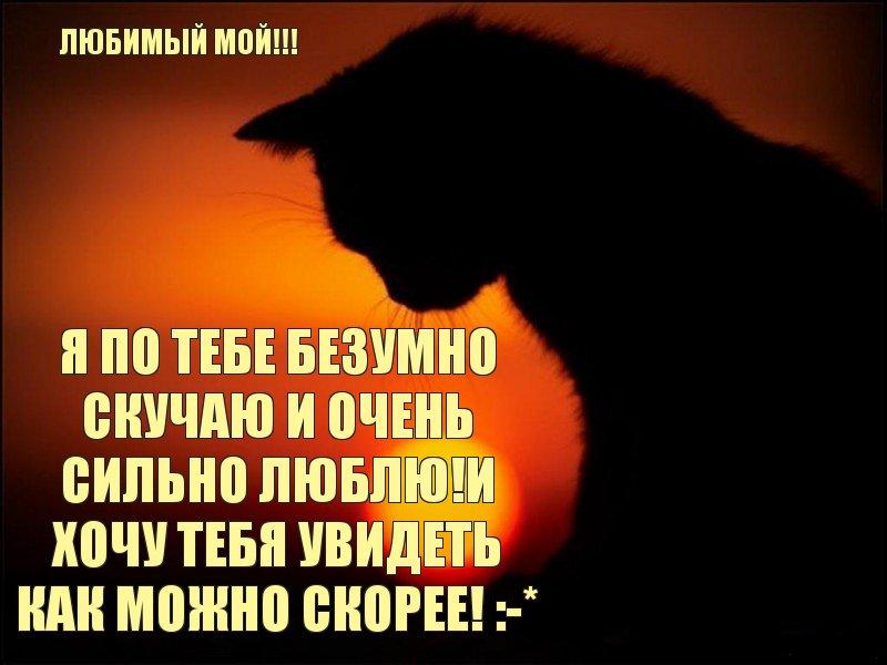 Безумно его люблю стих Безумно его люблю стих