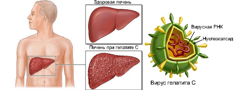 Детский жилет спицами и крючком для девочки: схема, выкройка, описание Декоративный бумажный нож своими руками. Мастер-класс с пошаговым фото
