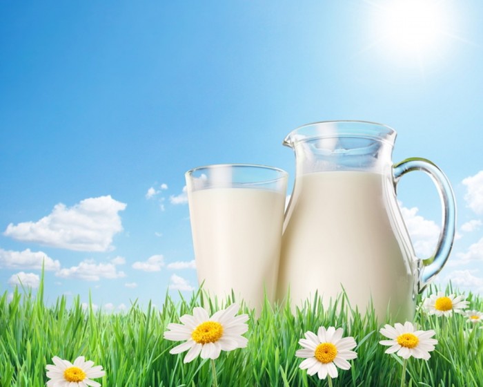 milk-01