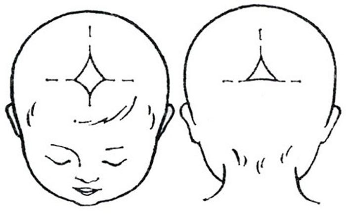 Размеры родничка у ребенка по месяцам