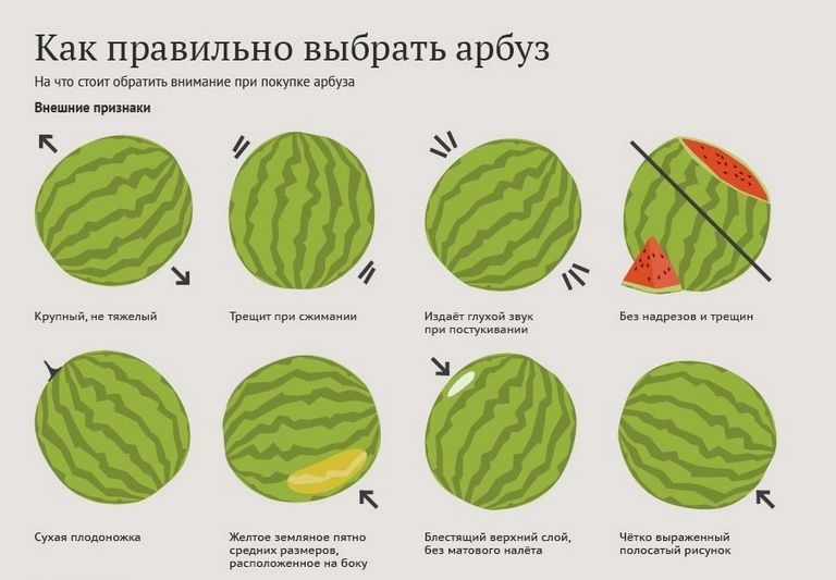 infographics Selectarea pepene verde
