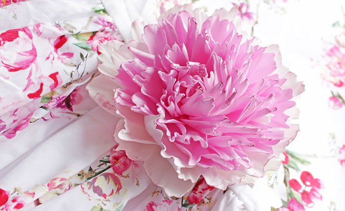 Peony a foamyran