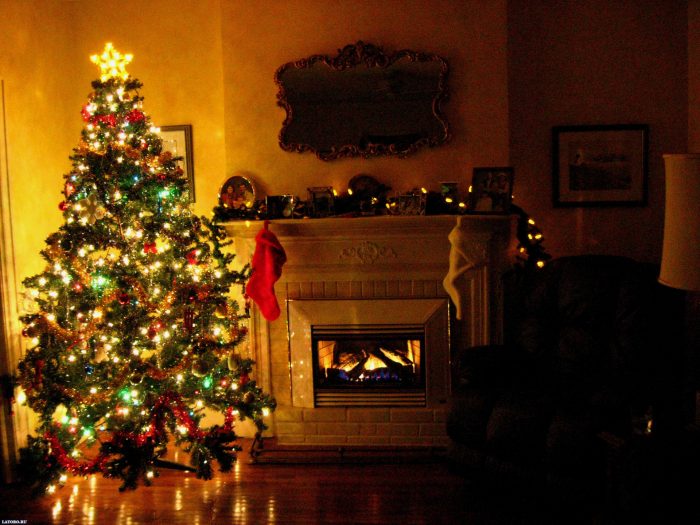 wählen Sie den Weihnachtsbaum von mittlerer Größe, wird es sparen Sie Ihre Zeit
