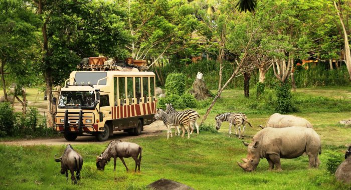 Safari Park στο Μπαλί, Ινδονησία