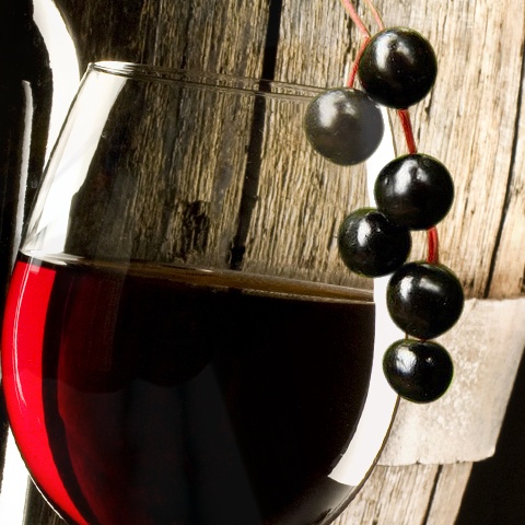ცხელი ხელნაკეთი ღვინო blackcurrant– დან