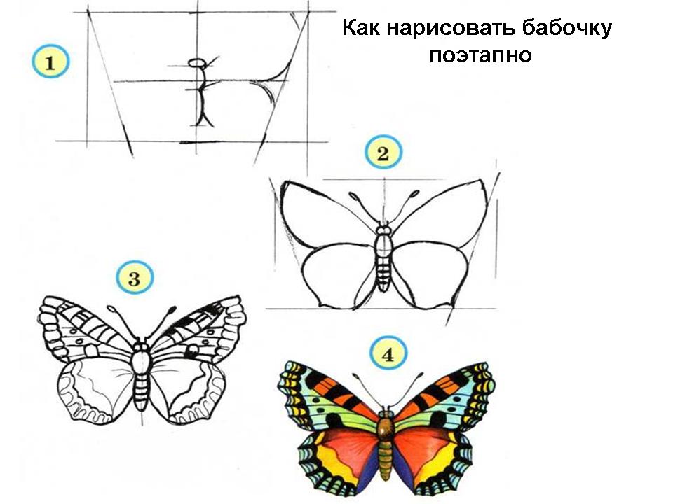 нарисовать простую бабочку на ногтях