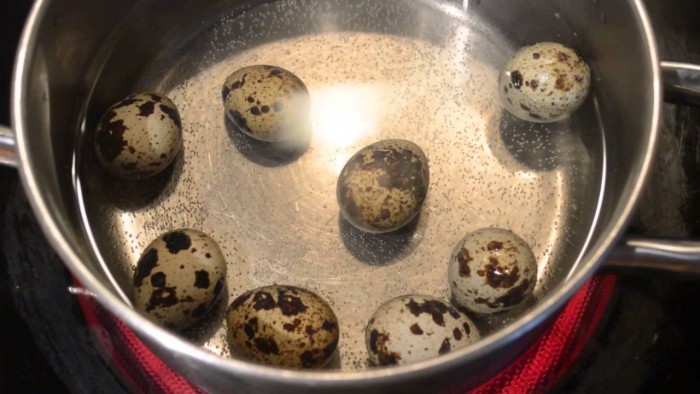 Чтобы яйца перепелки не лопались, их варят в подсоленной воде.