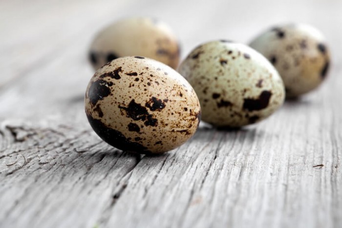 Перепелиные яйца для кормящих мам безопаснее, чем куриные.