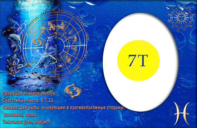 7T-6