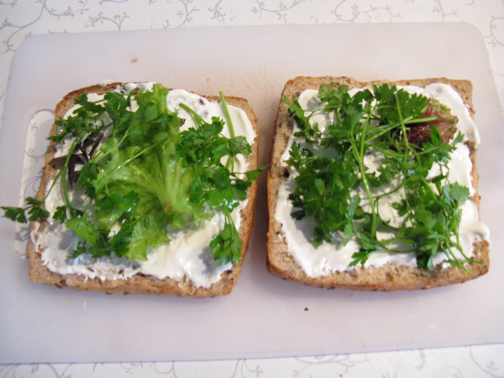 ساندویچ با سبزی