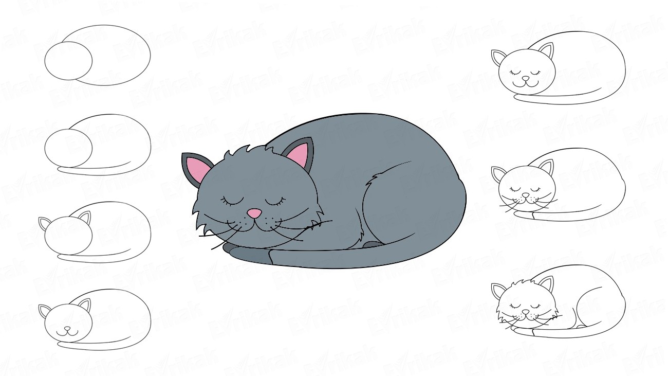 Как нарисовать спящую кошку поэтапно Как нарисовать спящую кошку поэтапно
