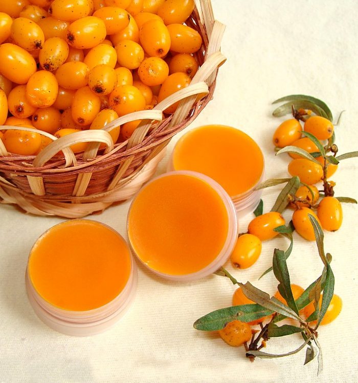 Minyak buckthorn laut dengan madu digunakan untuk mengobati tonsilitis.