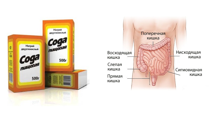 пить соду для очищения организма неумывакин пить соду для очищения организма неумывакин