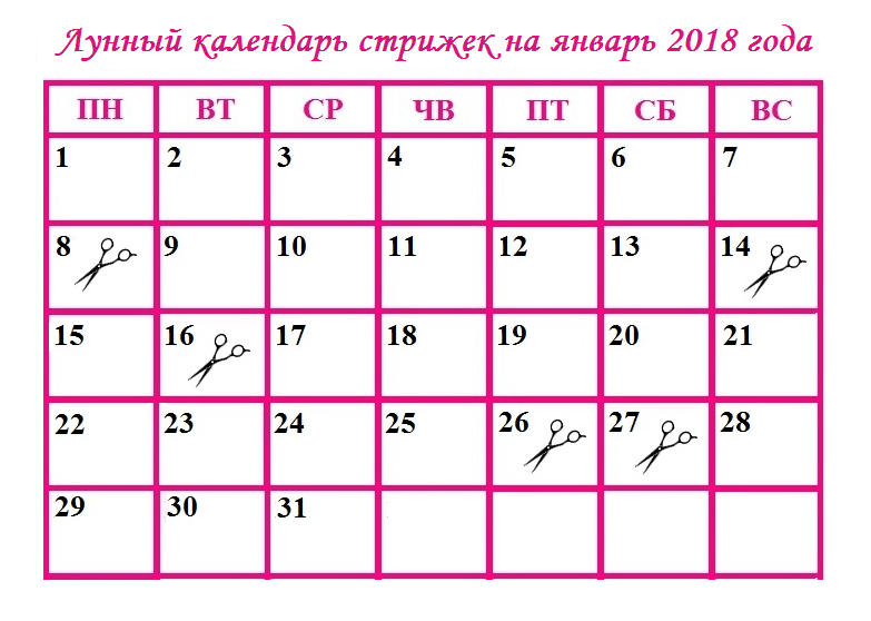 Когда лучше стричь ногти в августе 2018 года Когда лучше стричь ногти в августе 2018 года