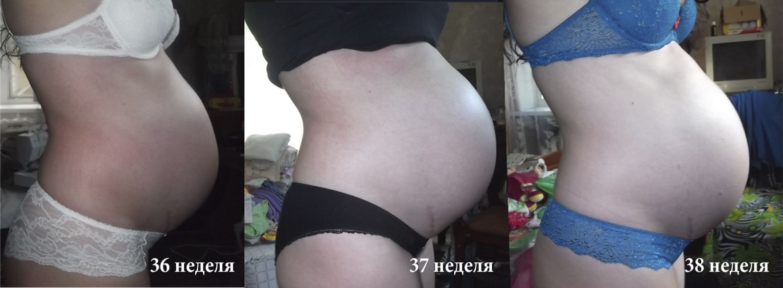 Корм для беременных сук 35