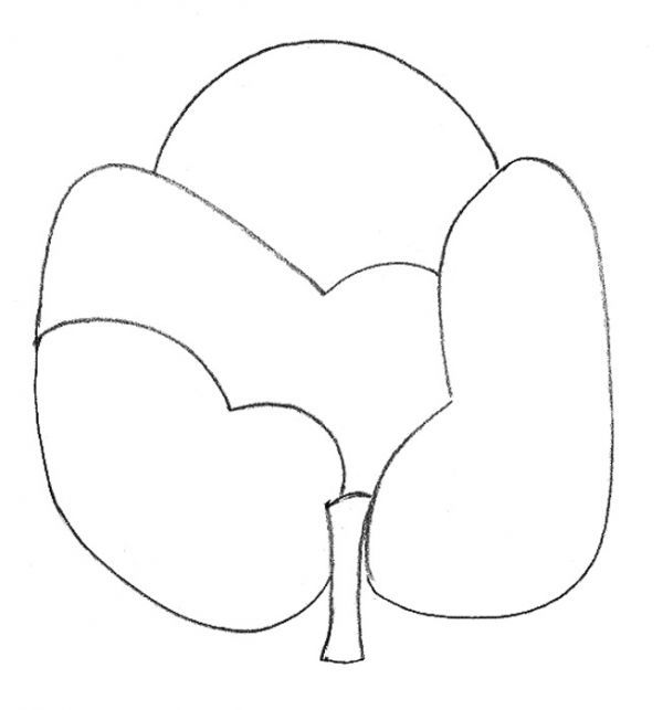 Делим крону на секторы