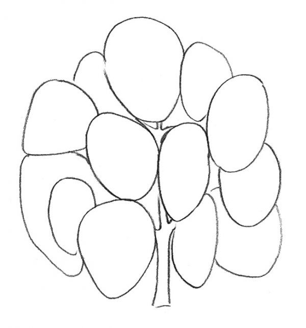 Начинаем рисовать ветки