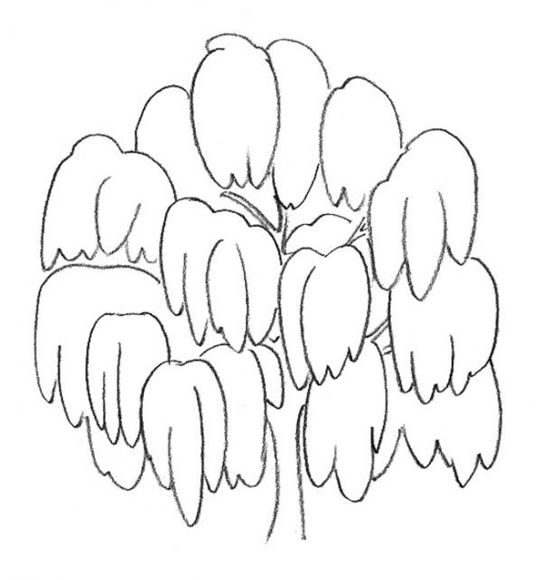 "Распушиваем" дерево