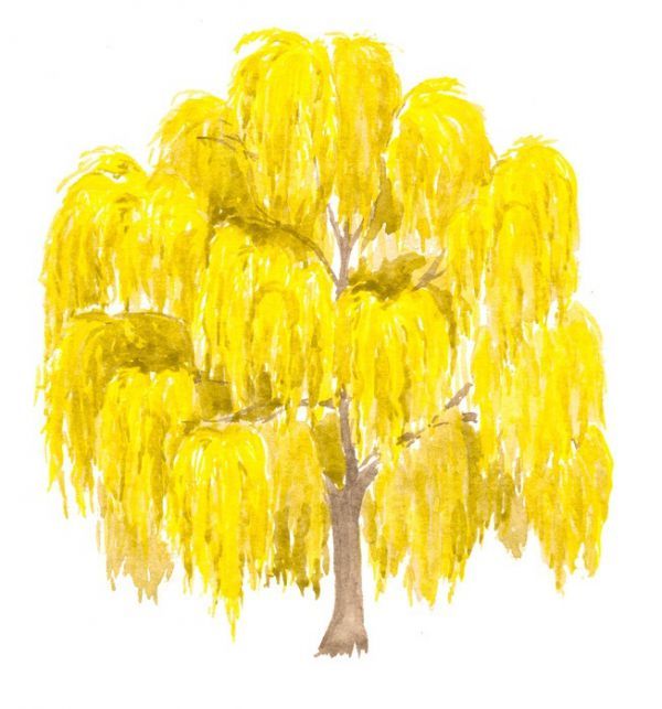 Наносим яркие цвета на рисунок