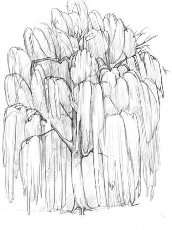 Заштриховываем некоторые участки