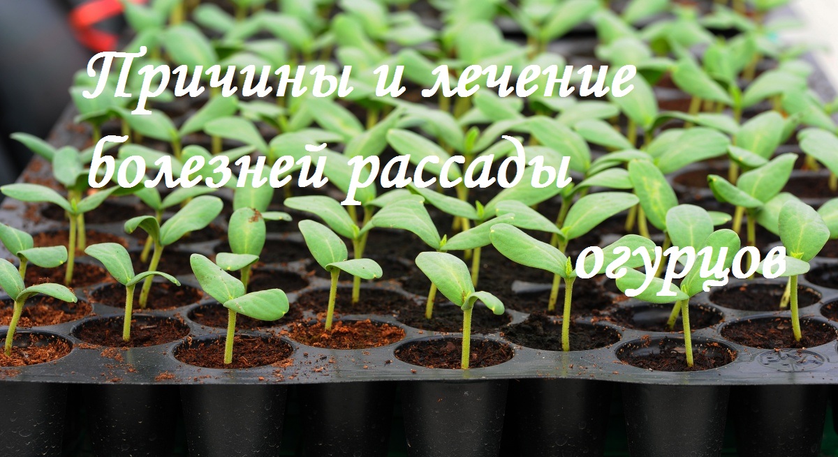 Как из старых джинс сшить джинсы ребенку из 178 Как из старых джинс сшить джинсы ребенку из 13