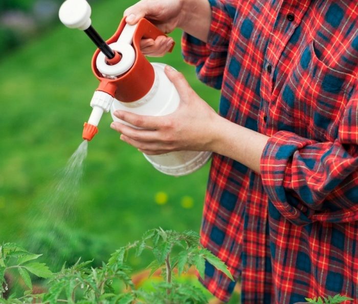 c89929CAC47EDD1C60E7BCADCA41DED_XL [1]