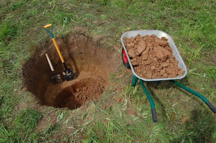 выкопанная яма для посадки яблони со сложенной землей в тачке