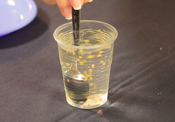 Processing of pepper seeds with useful substances before planting for seedlings