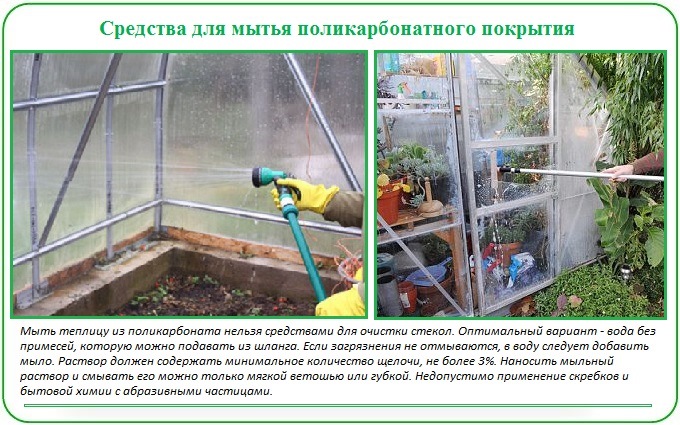 Грамотная обработка медным купоросом теплицы весной от 5 болезней Грамотная обработка медным купоросом теплицы весной от 5 болезней