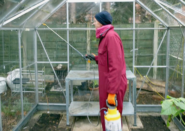 obrabotka-Pomidorov-Fitoft-V-Teplice-4