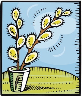 Пример 3: веточка вербы, рисунок детский