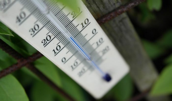 The optimum air temperature for planting pepper seedlings in a greenhouse and open ground