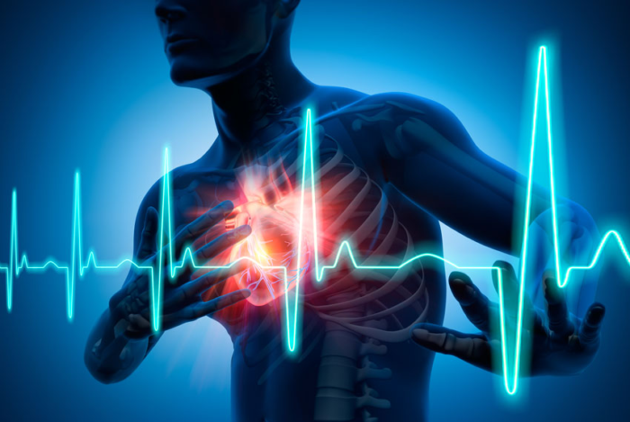 Показатели давления напрямую зависят от работы сердца