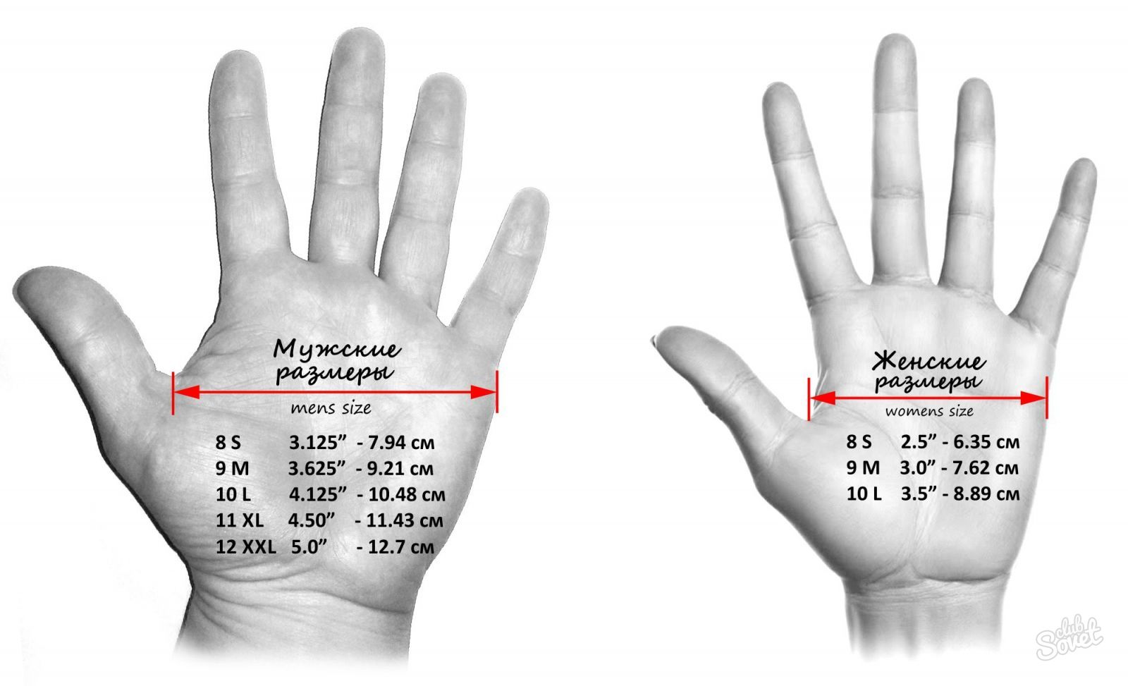 Как определить свой размер перчаток Ламода?