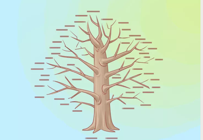Как нарисовать генеалогическое дерево своей семьи карандашом поэтапно: схема