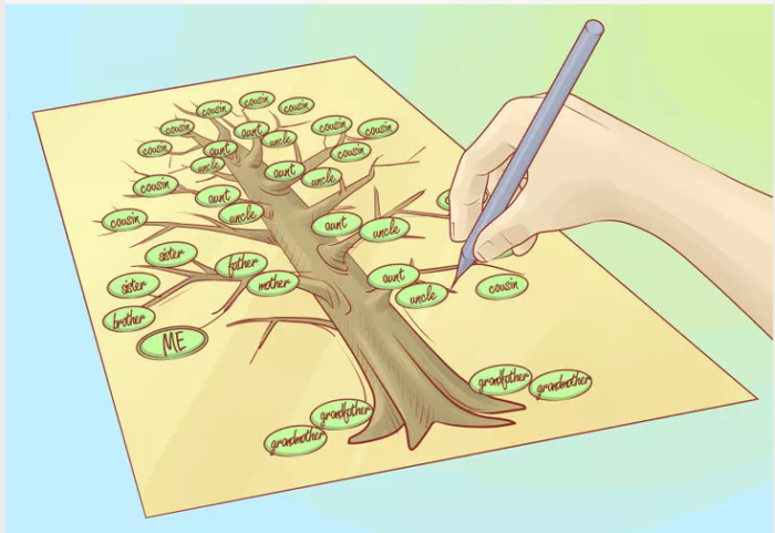 Как нарисовать генеалогическое дерево своей семьи карандашом поэтапно: дерево готово!