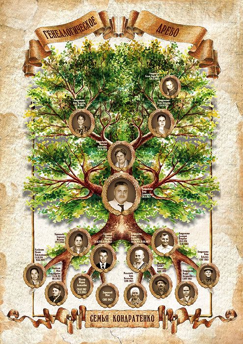 Как составить родословное дерево своей семьи: образец с фото