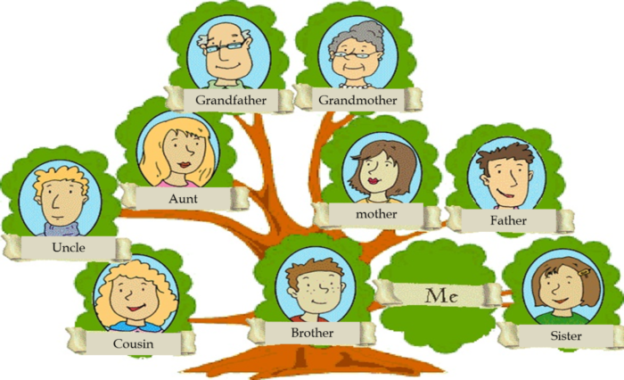 Дерево семьи для ребенка