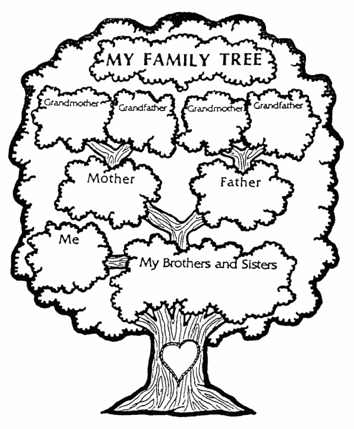 Дерево семьи для ребенка: рисунки карандашом