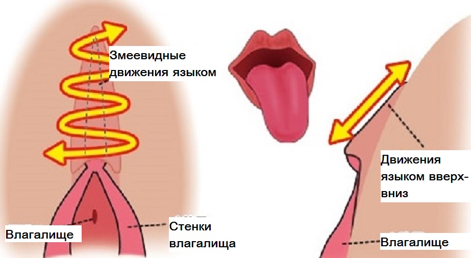 Как девушке правильно сделать куннилингус Как девушке правильно сделать куннилингус