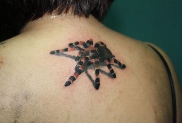 back-bodu-3d-spider-tattoo-for-girls