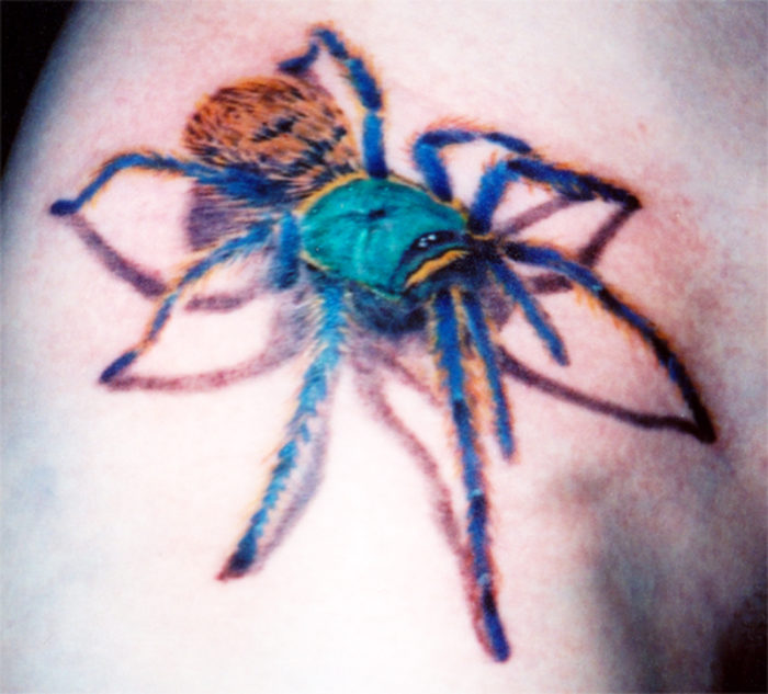 Colorful-Arachnids-Tattoo-Design