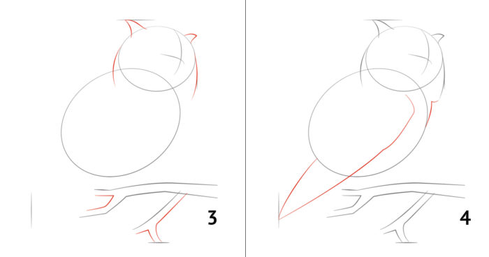 пошаговый рисунок совы, пример 5, шаг 2